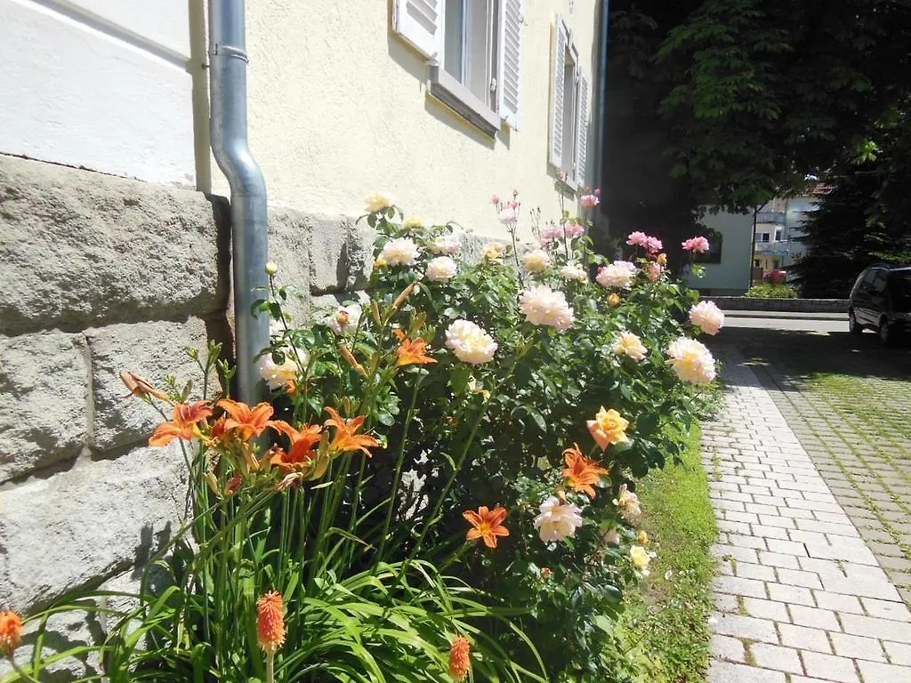 Ferienwohnung Lavendel Sinzheim Apartment